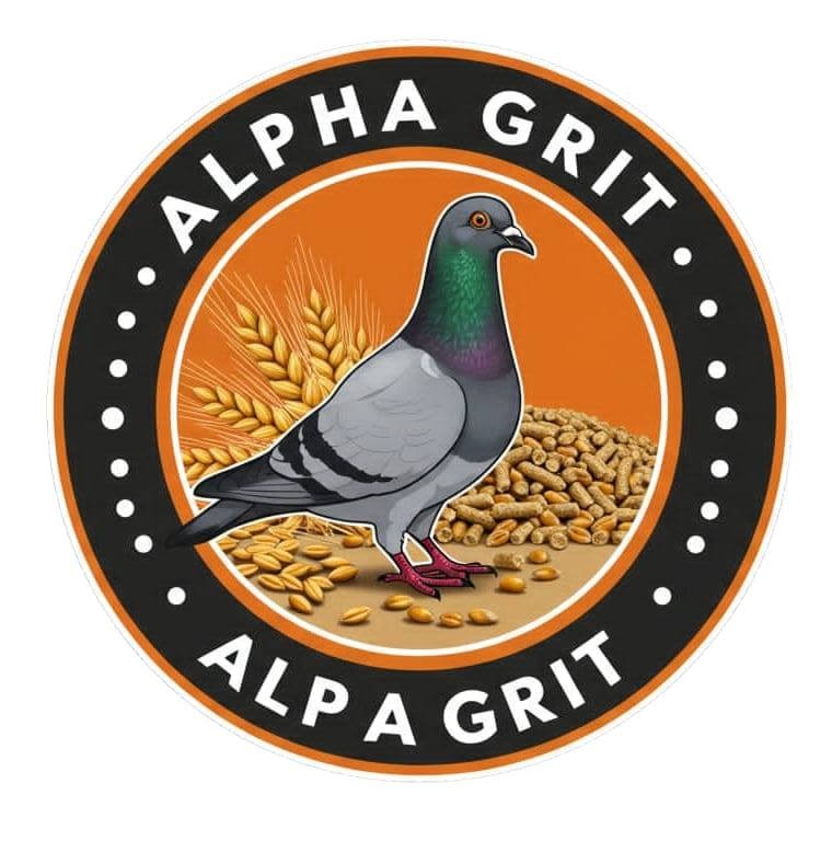 WhatsApp Image 2026-02-09 at 17.04.21 (1)