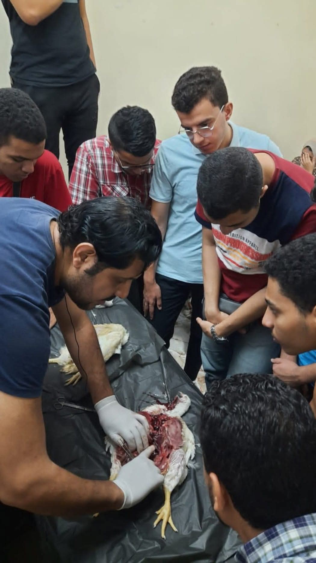 WhatsApp Image 2026-02-10 at 4.36.35 PM