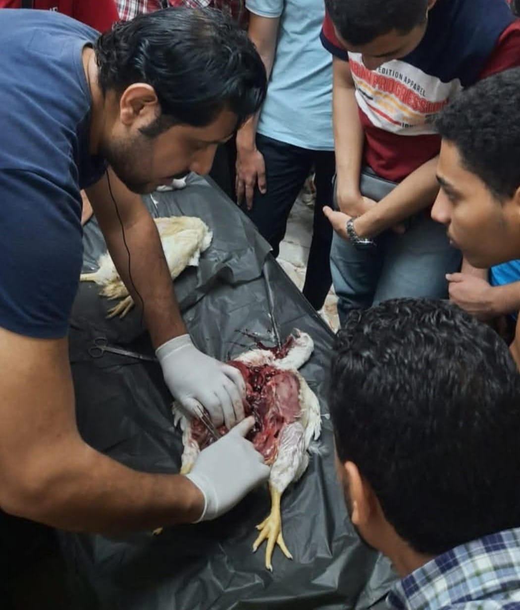 WhatsApp Image 2026-02-10 at 6.19.51 PM (1)