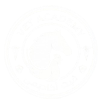 vetacademy