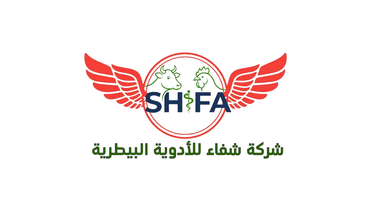 Photoroom-٢٠٢٥٠٩١٥_٠٣٤٤٣٠ (1)