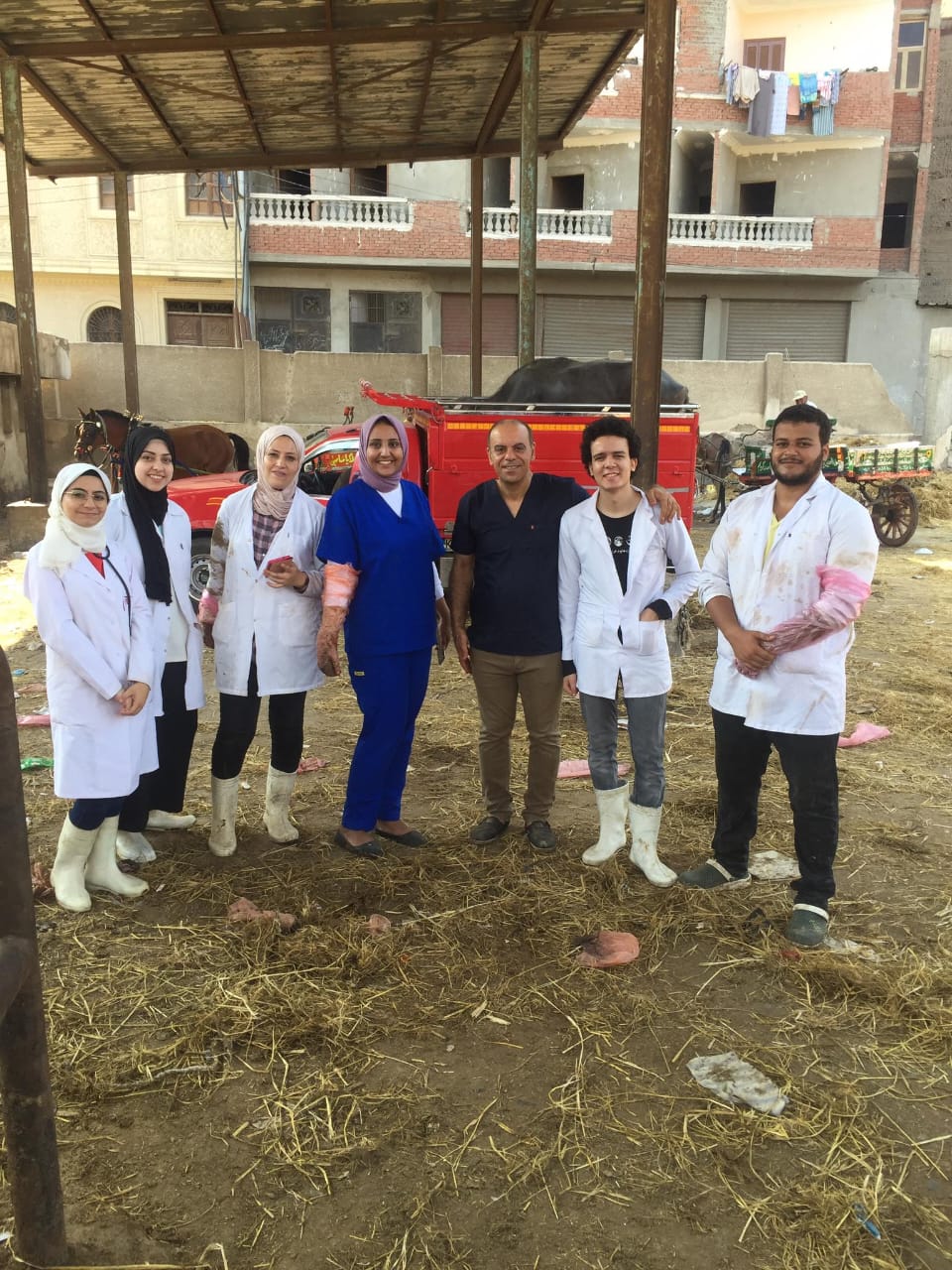 WhatsApp Image 2026-03-17 at 2.36.48 PM