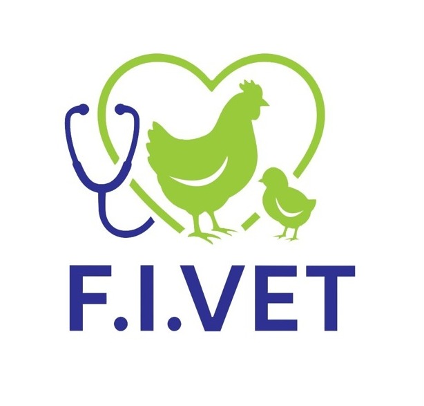 WhatsApp Image 2026-03-19 at 3.33.36 AM (1)