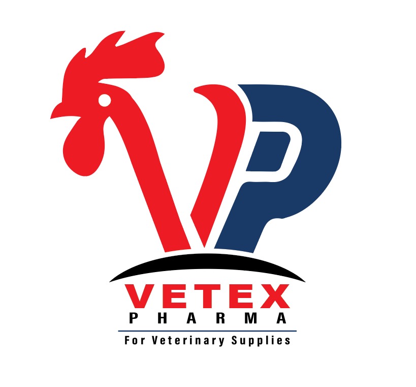 WhatsApp Image 2026-03-19 at 4.47.11 AM