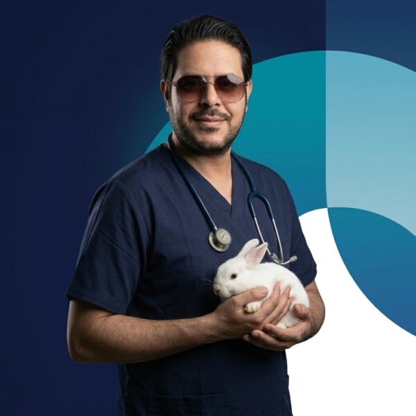 الأرانب من A to Z مع الدكتور حسام خفاجى