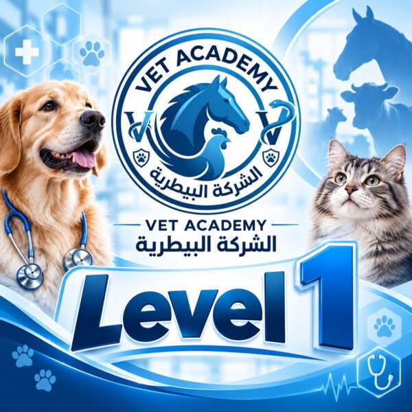 عرض على كل مواد فرقة أولى