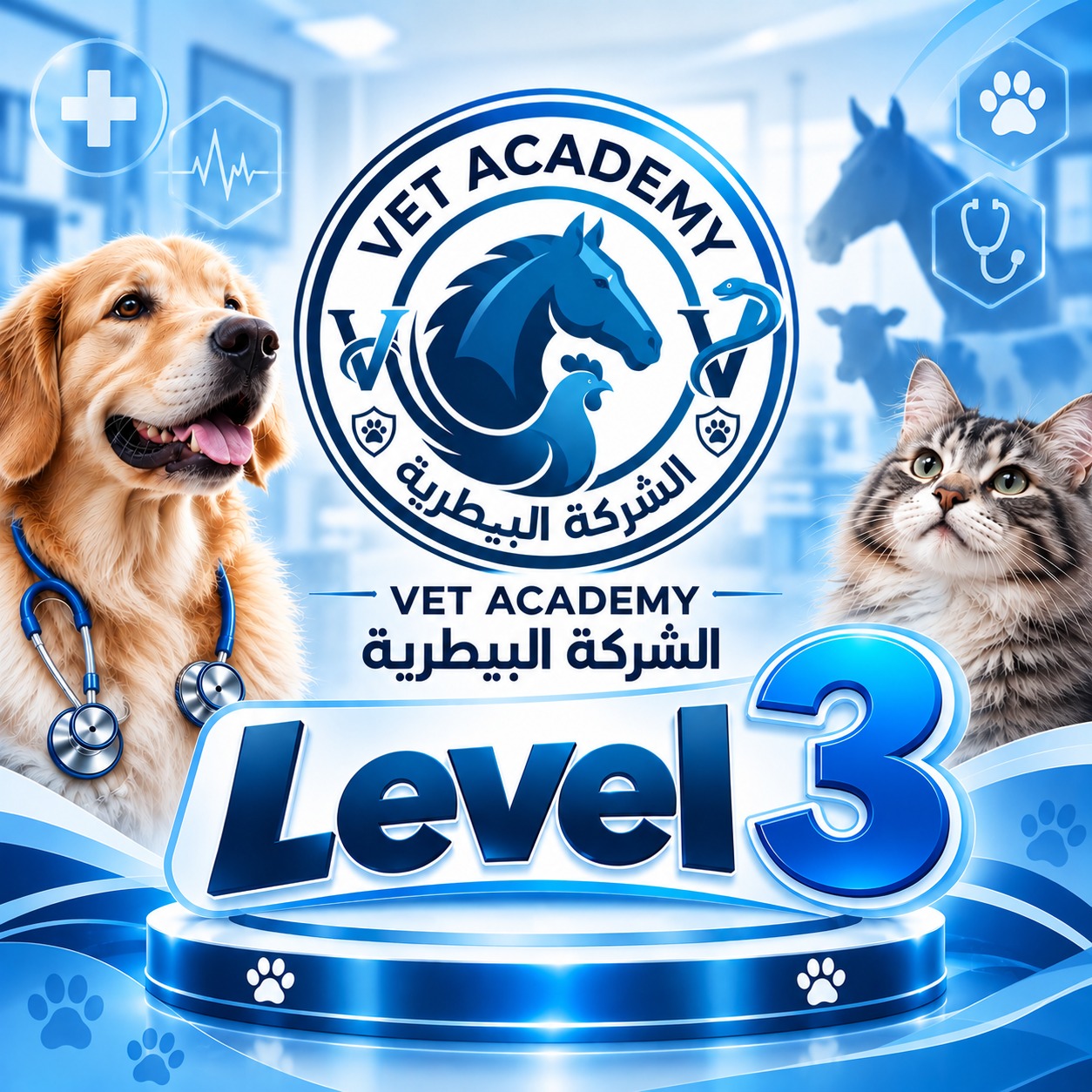 عرض على كل مواد فرقة ثالثة - جامعة المنصورة
