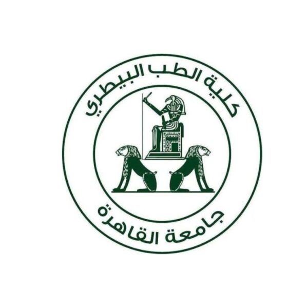 جامعة القاهرة