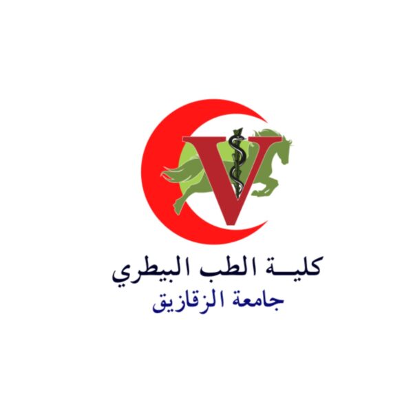 جامعة الزقازيق