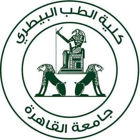 جامعة القاهرة