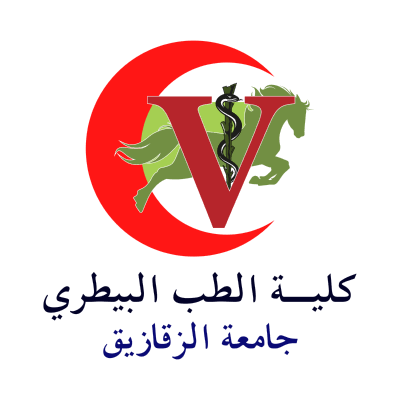 جماعة الزقازيق