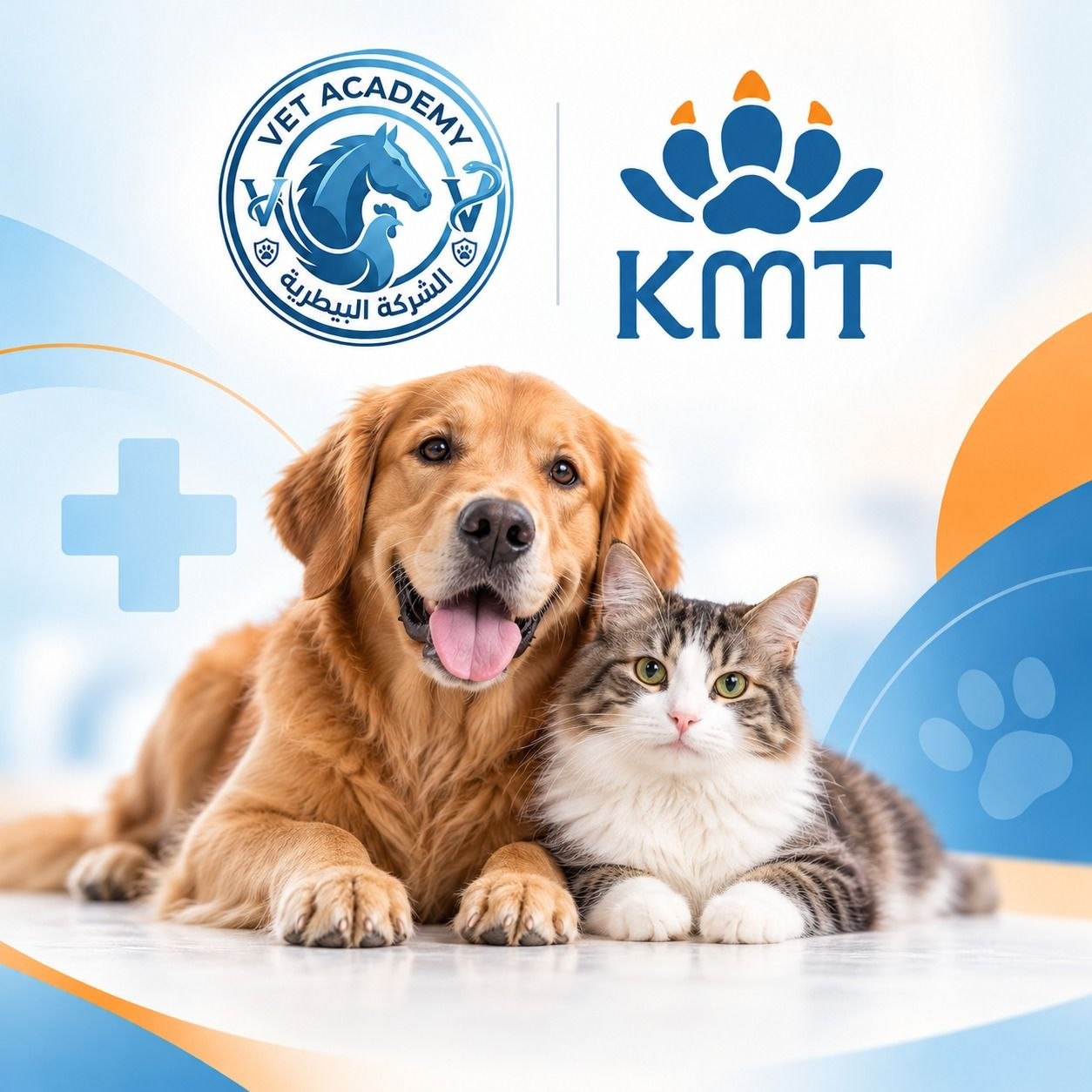 Pet medicine with Dr.Ahmed Ashraf